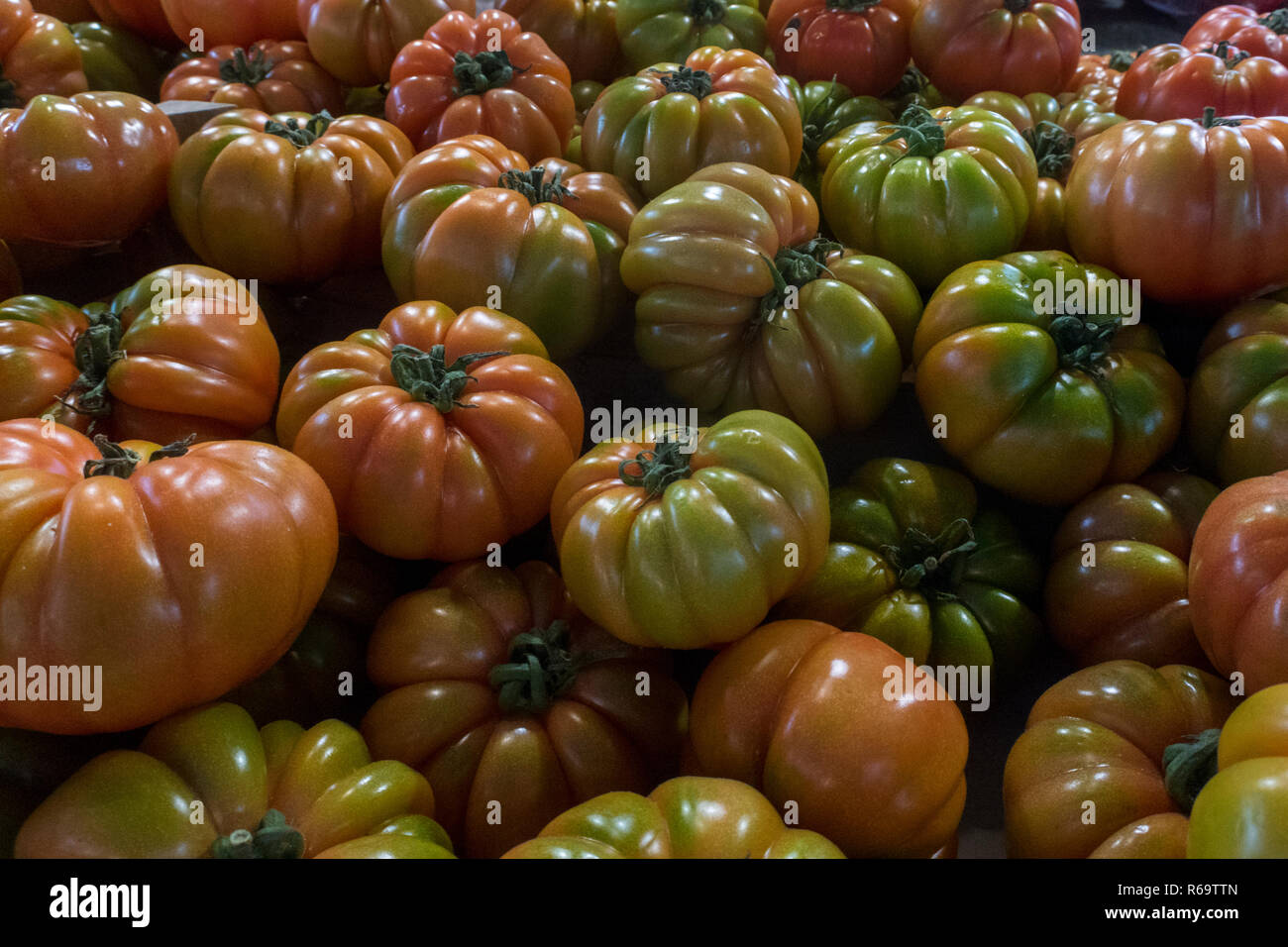 Oxheart Tomato Stock Photo