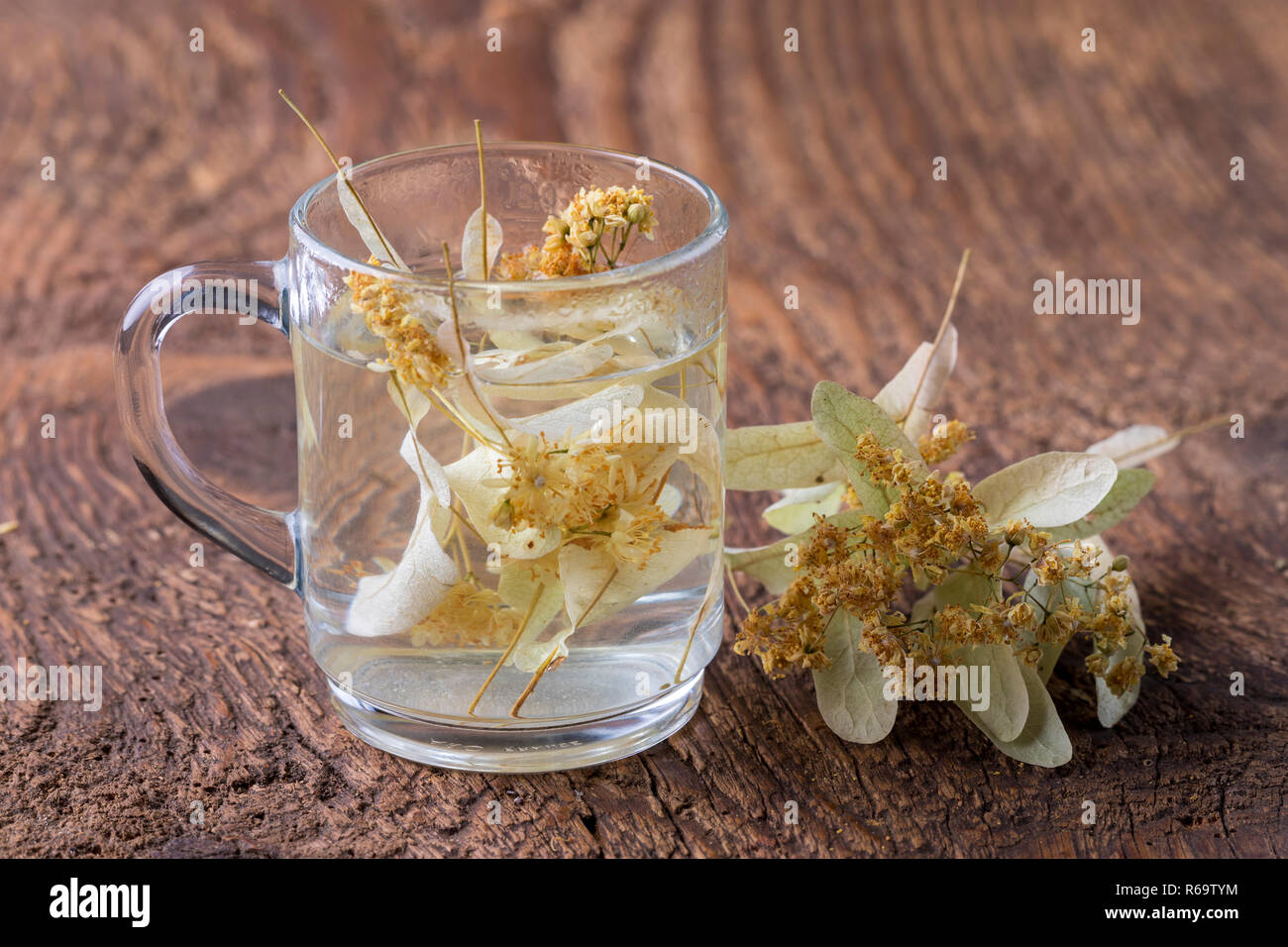 Linden Flower Tea Stock Photo Alamy
