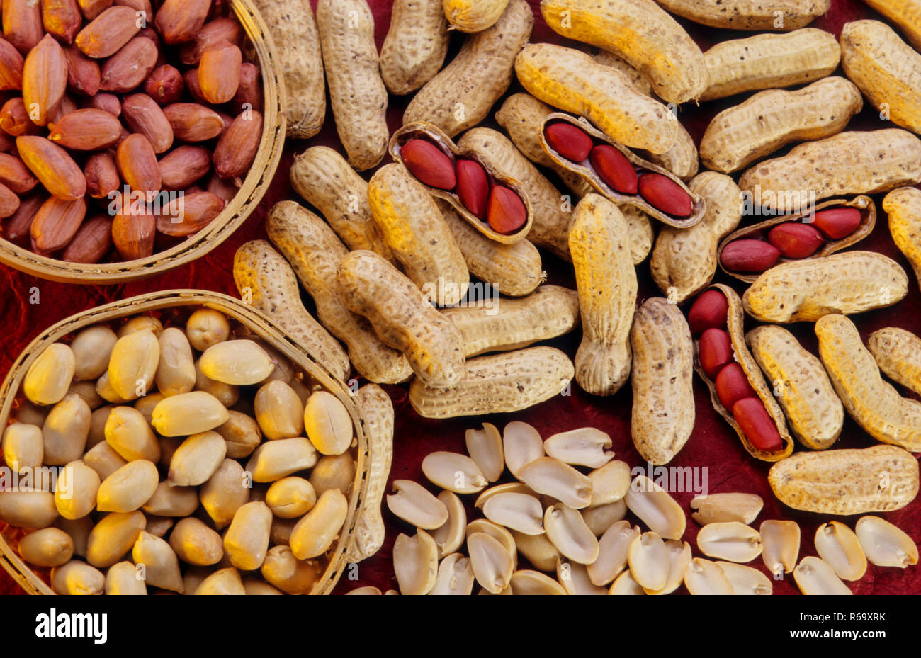 peanut seed, groundnut seeds, goober, pindar, monkey nut, Arachis hypogaea, India, Asia Stock Photo