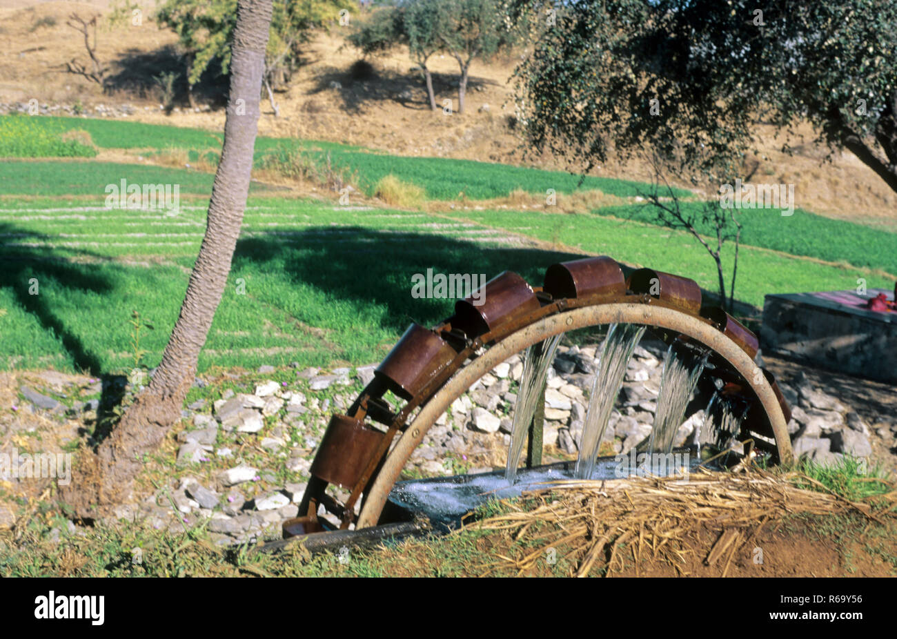 traditional well wheel method of agriculture field irrigation, India, Asia Stock Photo