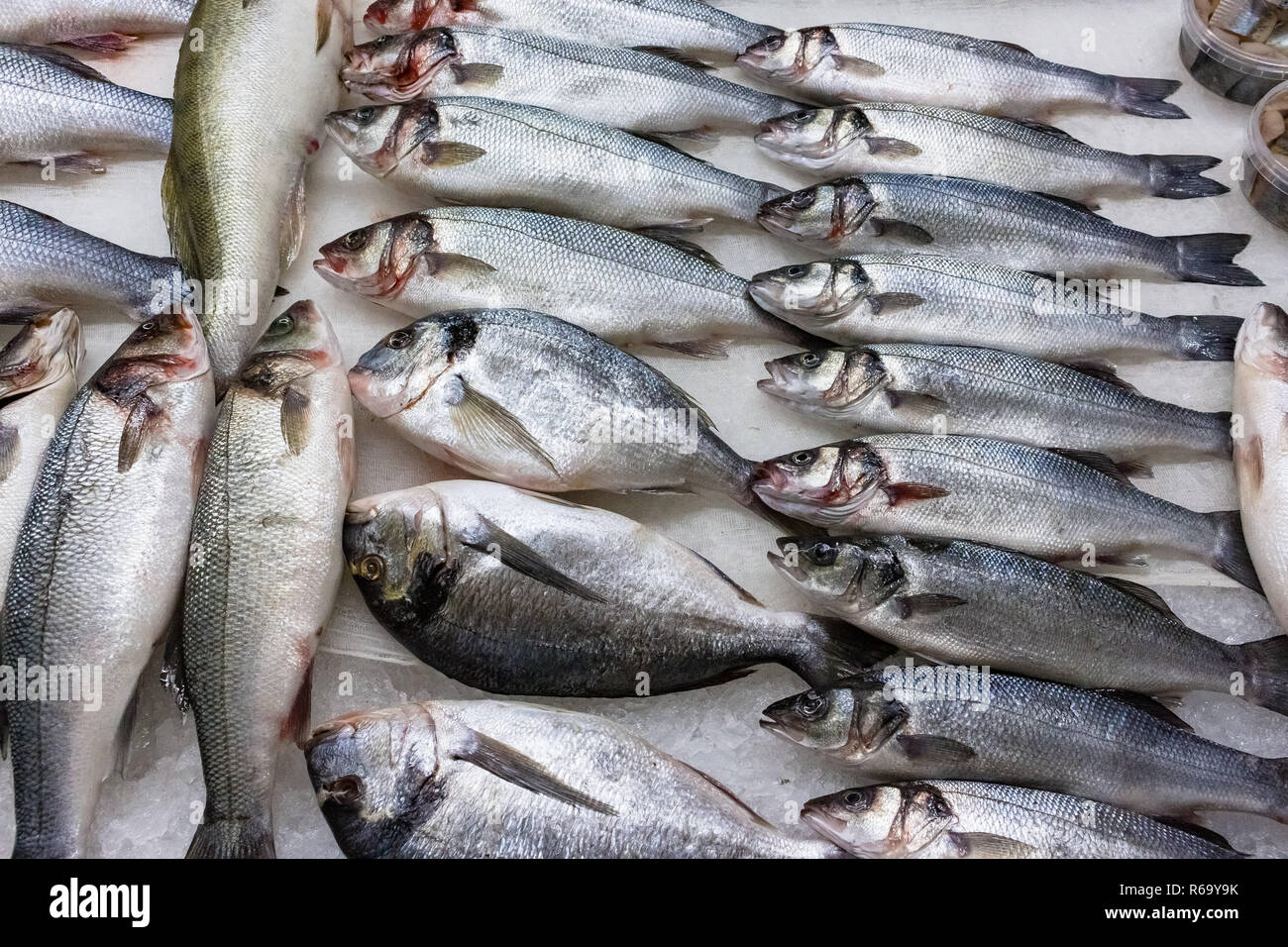 fresh russian fish 4 Stock Photo - Alamy