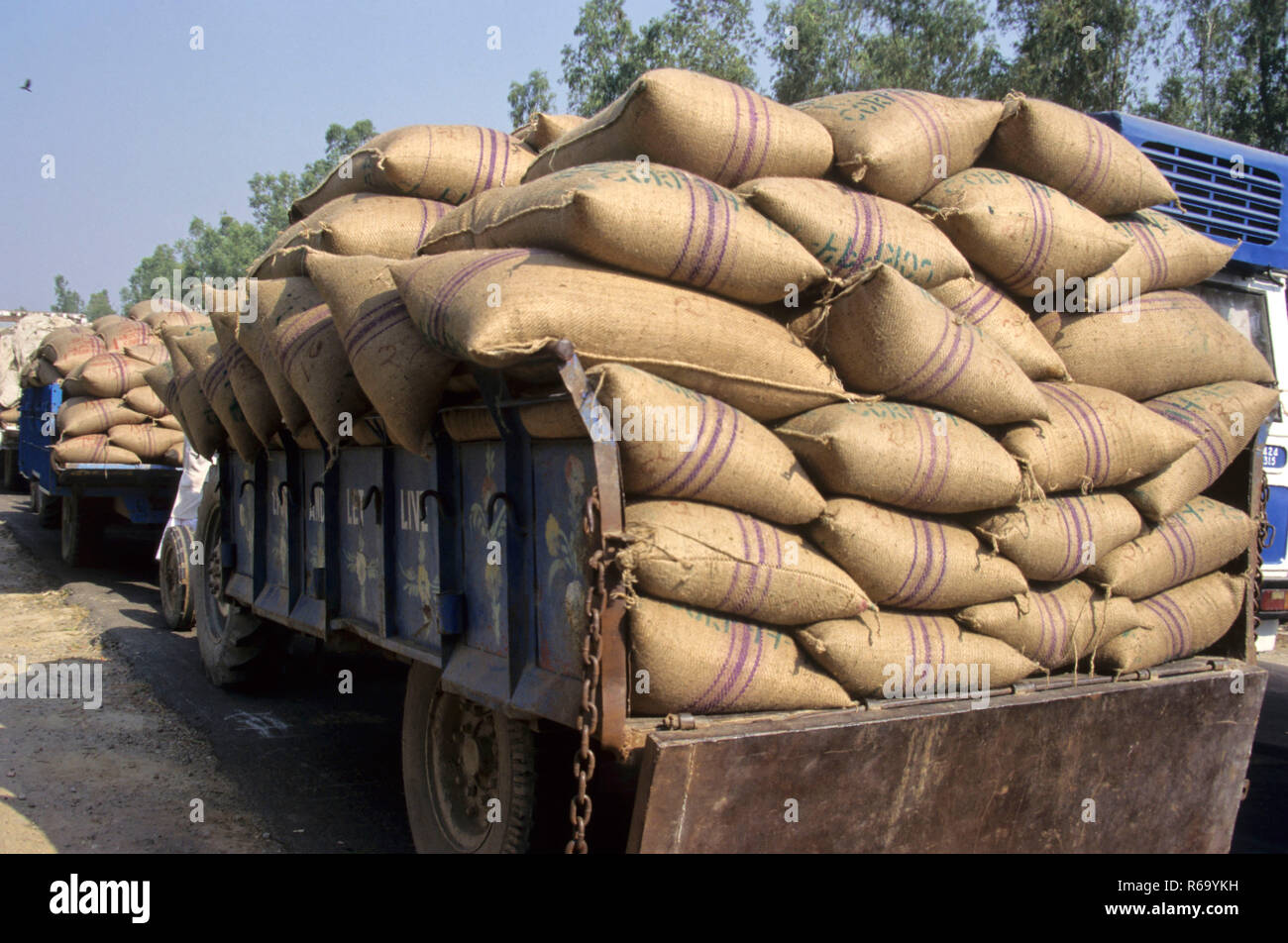 Jute Bags High Resolution Stock Photography and Images - Alamy