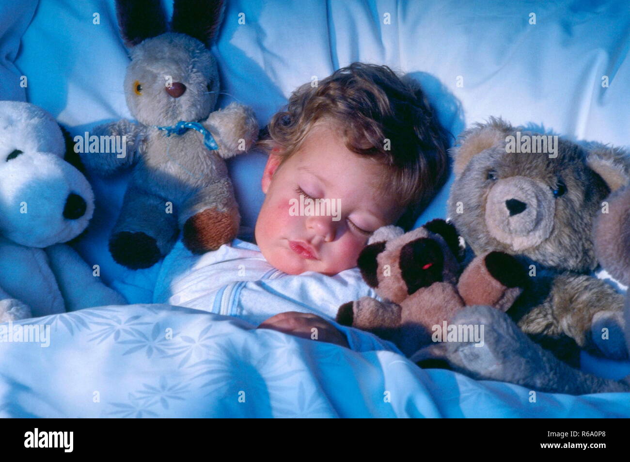 Portrait, blondgelocktes Kleinkind schlaeft friedlich an seine Stofftiere gekuschelt in weisser Damastbettwaesche Stock Photo