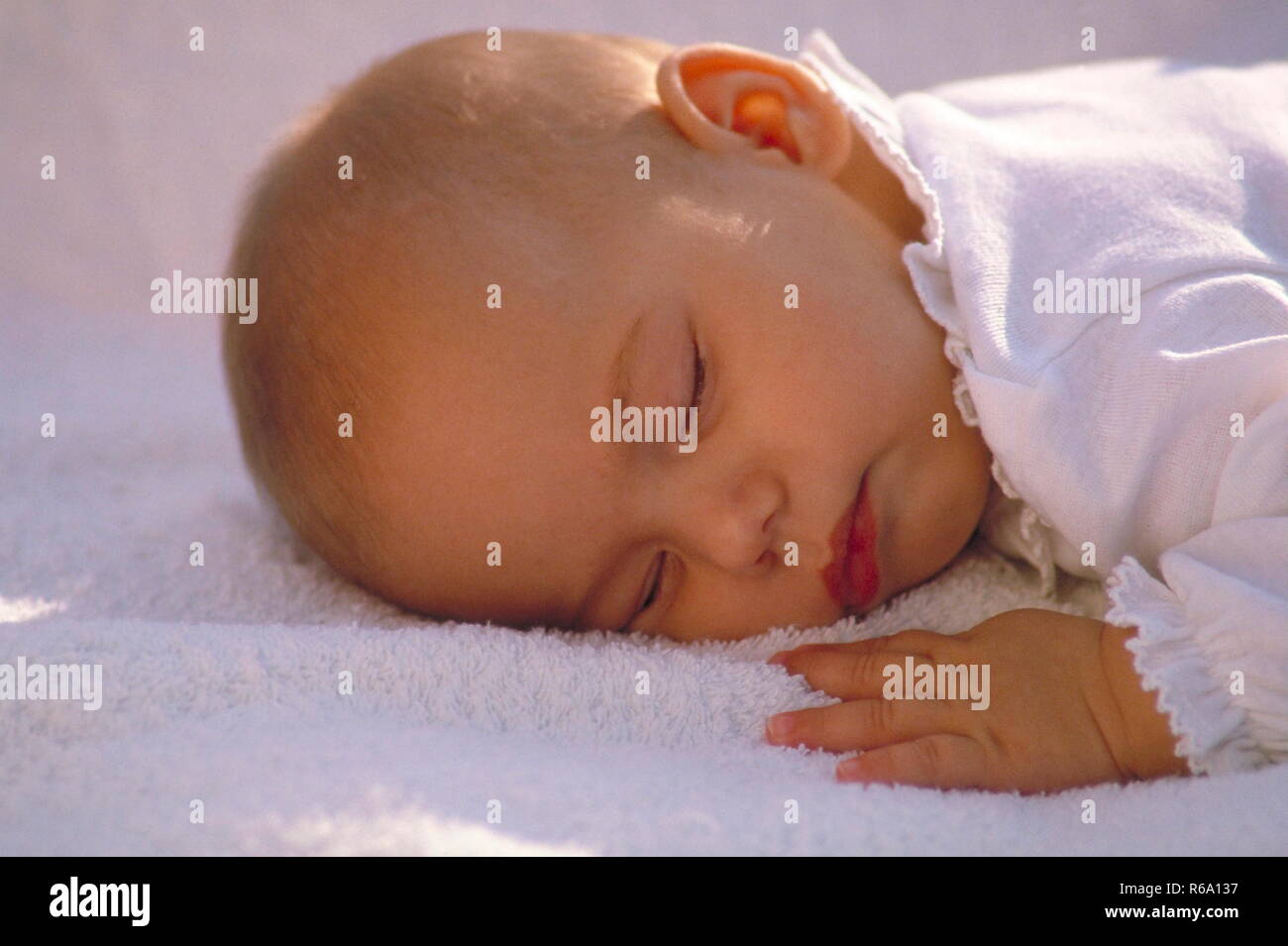 Portrait, Baby, 4 Monate alt, schlaeft in Bauchlage auf einem weissen Frotteehandtuch Stock Photo
