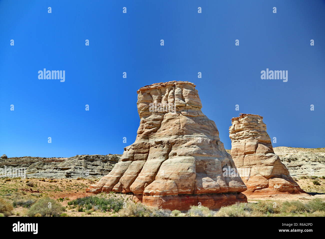 Elephant Feet In Arizona Stock Photo Alamy