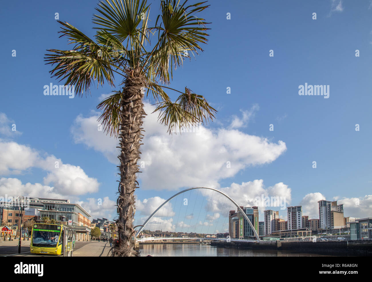 A view of the bridges spanning the Tyne in Newcastle in England Stock Photo