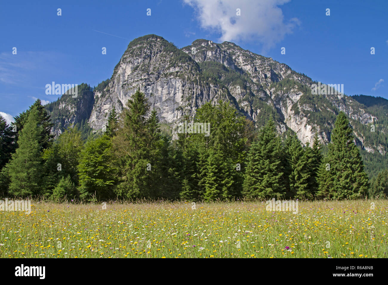 Summer Flower Meadow With The Peak Of Kramers Stock Photo