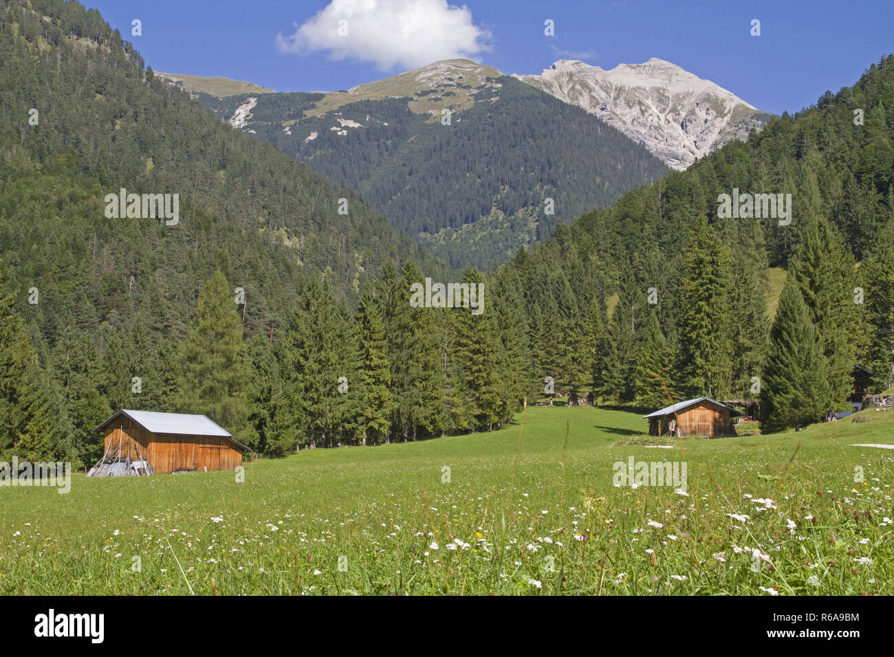 Heu Hut In The Middle Of A Blossoming Mountain Meadow With Karwendel Summit Near Mittenwald Stock Photo
