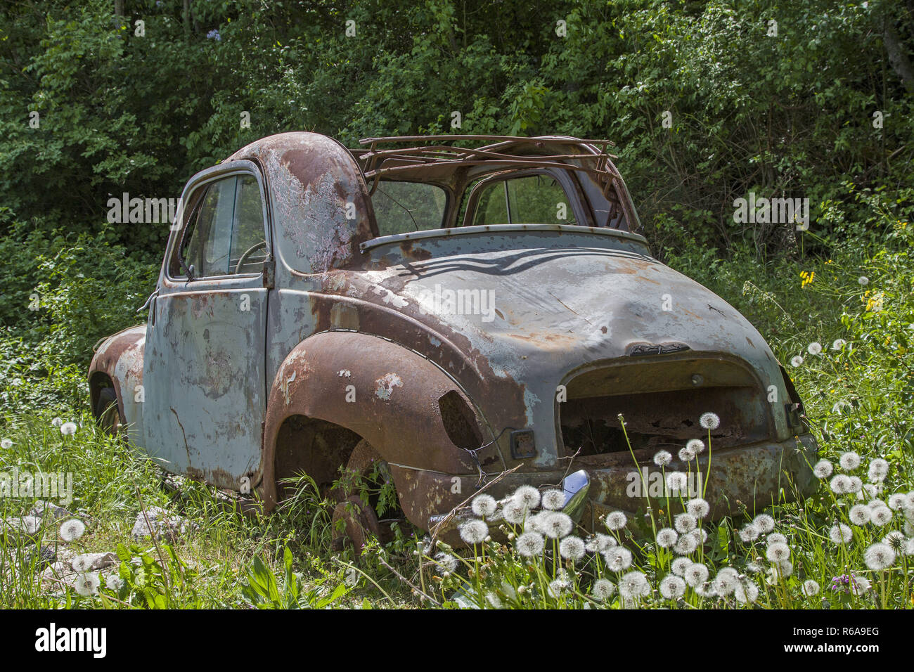 Scrap cars woods hi-res stock photography and images - Alamy