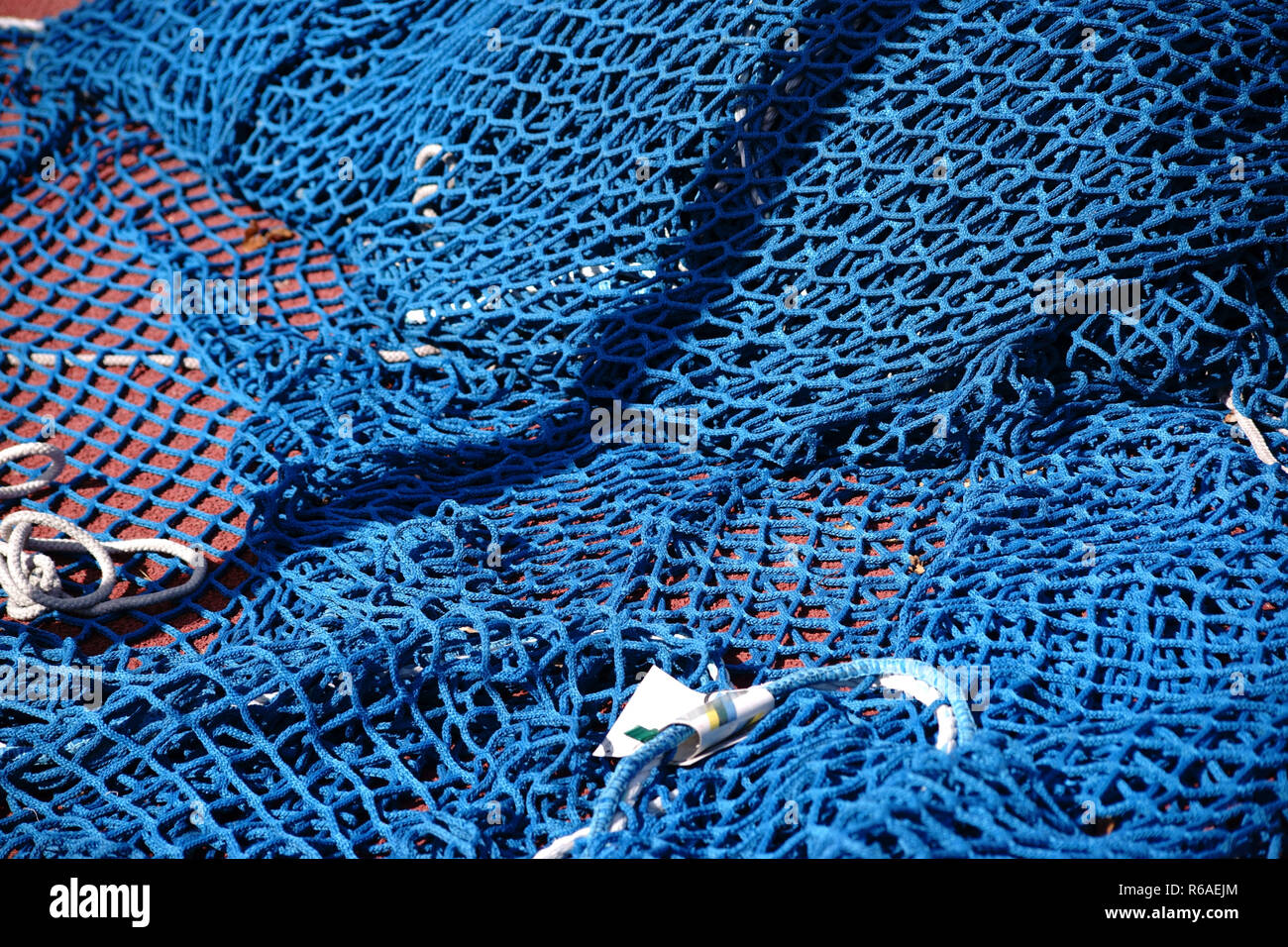 Net For Discus Ring Stock Photo Alamy