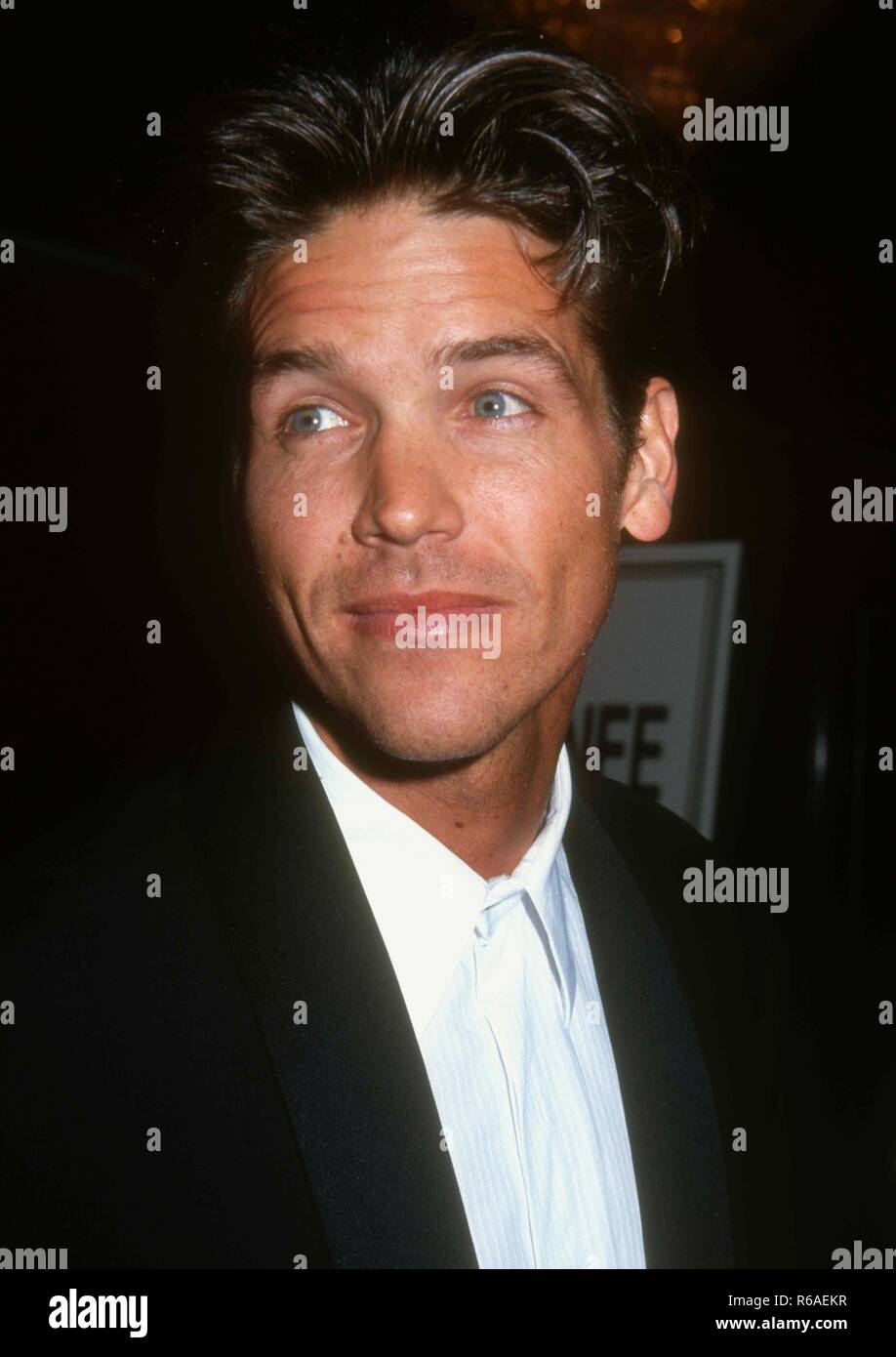 BEVERLY HILLS, CA - MARCH 22: Actor Michael Damian attends the 45th Annual Writers Guild of America Awards on March 22, 1993 at the Beverly Hilton Hotel in Beverly Hills, California. Photo by Barry King/Alamy Stock Photo Stock Photo