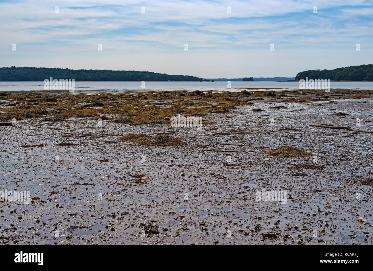 Mud flats and the low tide coastline in the foreground at Searsport