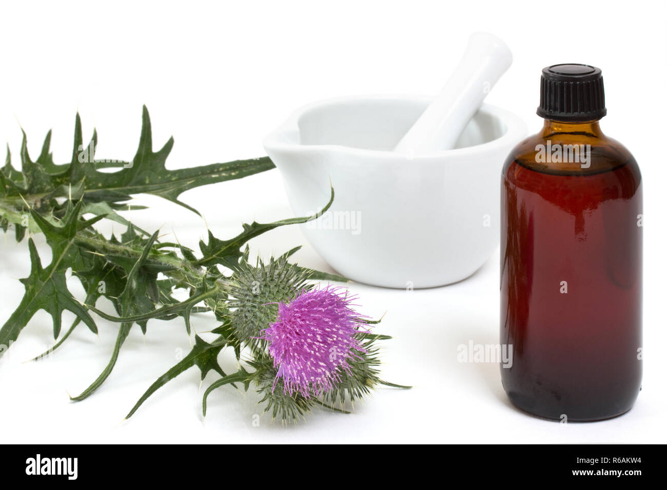 Milk Thistles With Medicine Bottle And Mortar On White Background Stock