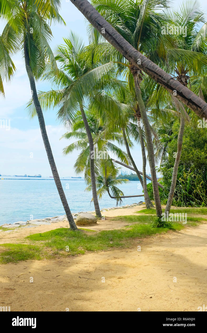 Fort siloso sentosa island hi-res stock photography and images - Alamy
