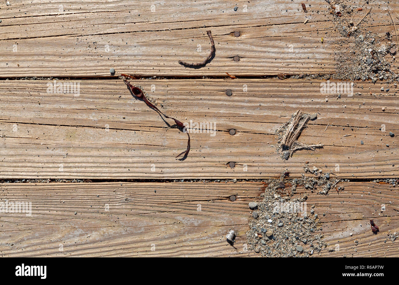 The surface of an old pressure treated walkway with sand gravel and seaweed on the boards. Stock Photo