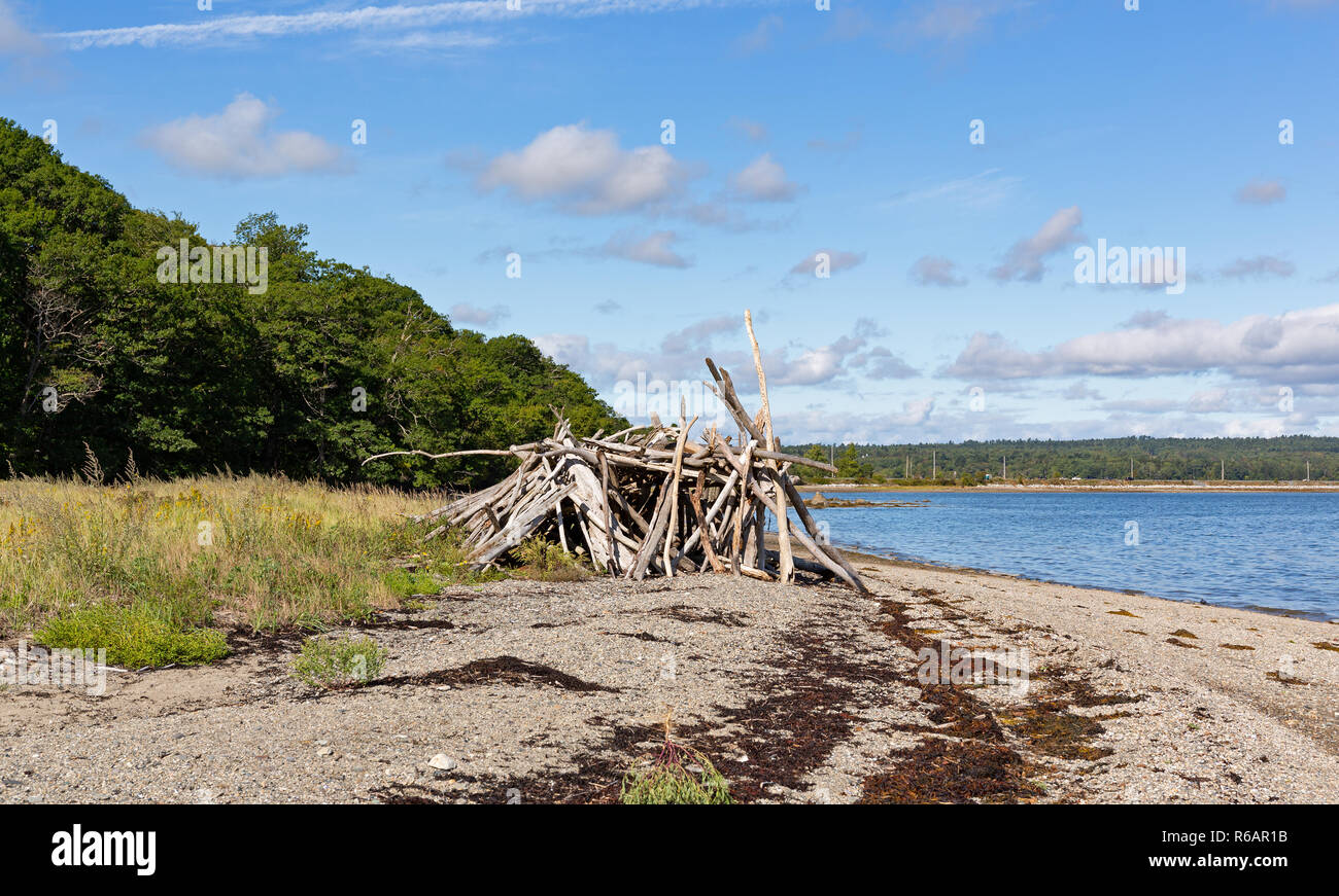 Driftwood sticks arranged in a haphazard lean to on Sears Island in Maine. Stock Photo