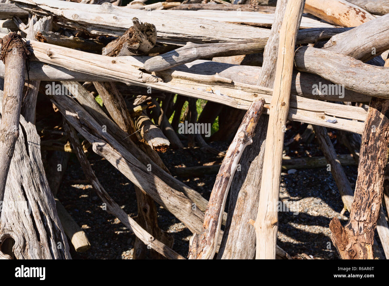 Driftwood sticks arranged in a haphazard way on a beach in Maine. Stock Photo