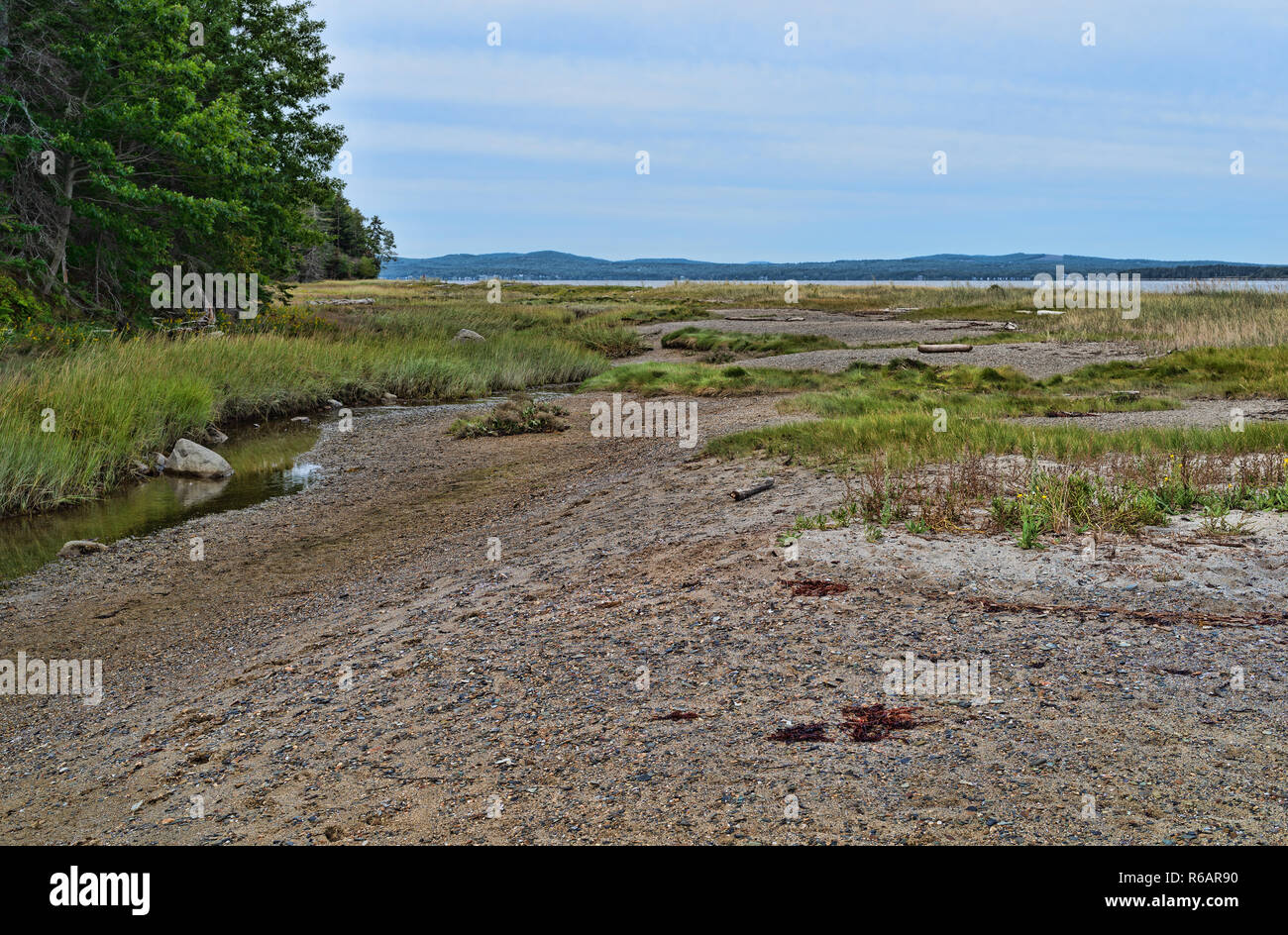 Beach and stream in a tidal zone at Sears Island at Searsport, Maine on an overcast summer day. Stock Photo