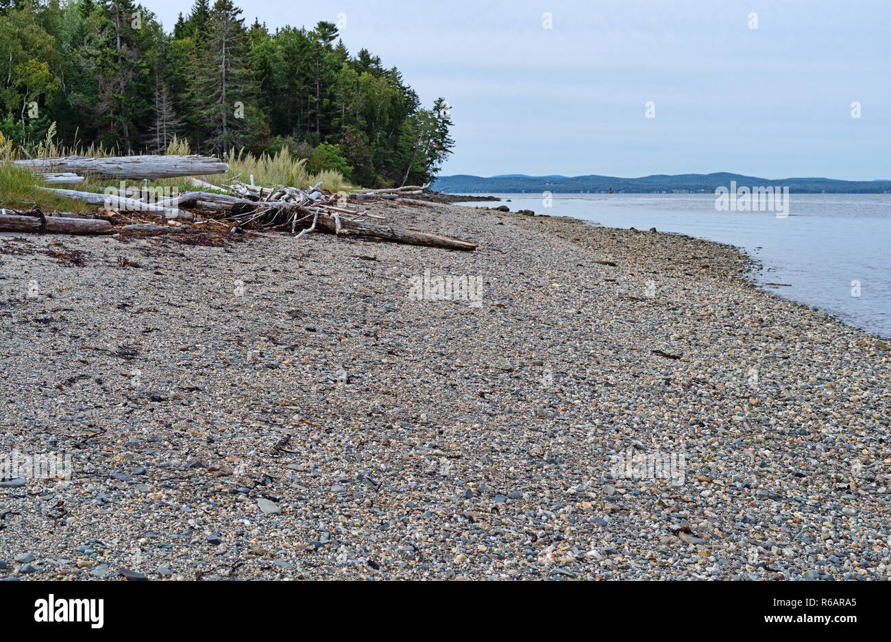 Floating logs rocks hires stock photography and images Alamy