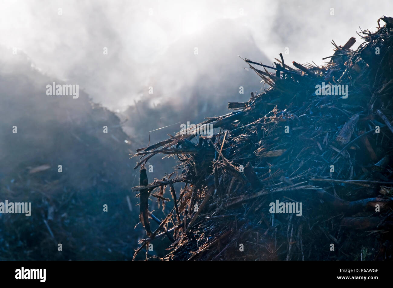 Compost Heap Stock Photo
