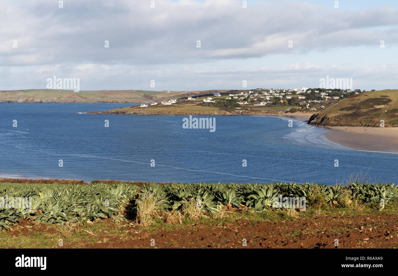 Padstow Estuary and Harbour Stock Photo Alamy
