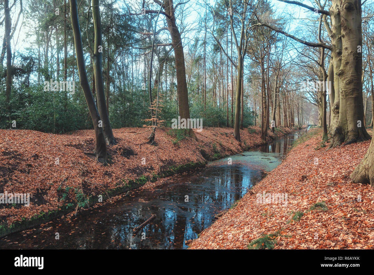 The beautiful park of the estate Gooilust in 's-Graveland in The Netherlands Stock Photo
