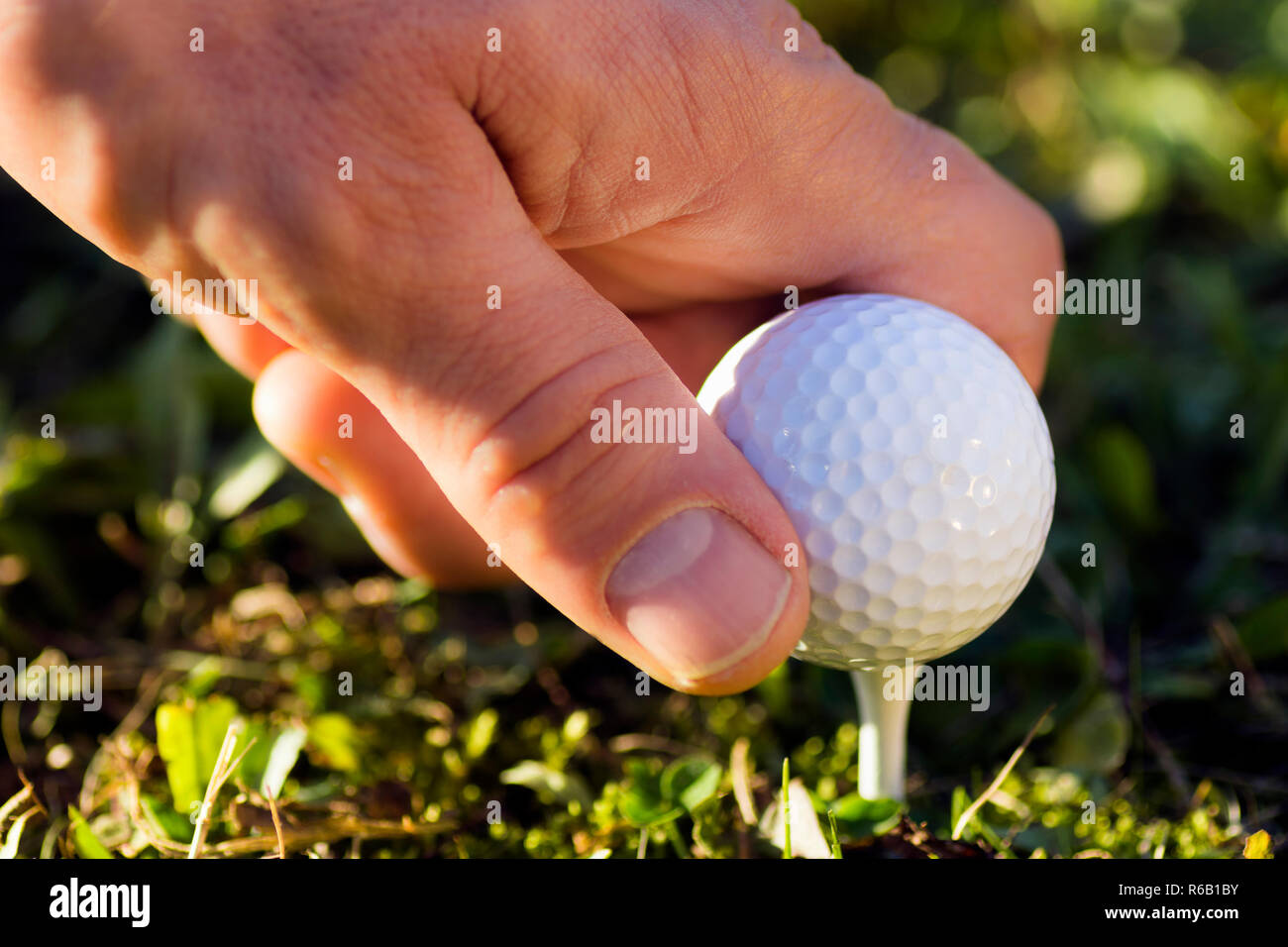 golf ball in hand Stock Photo Alamy
