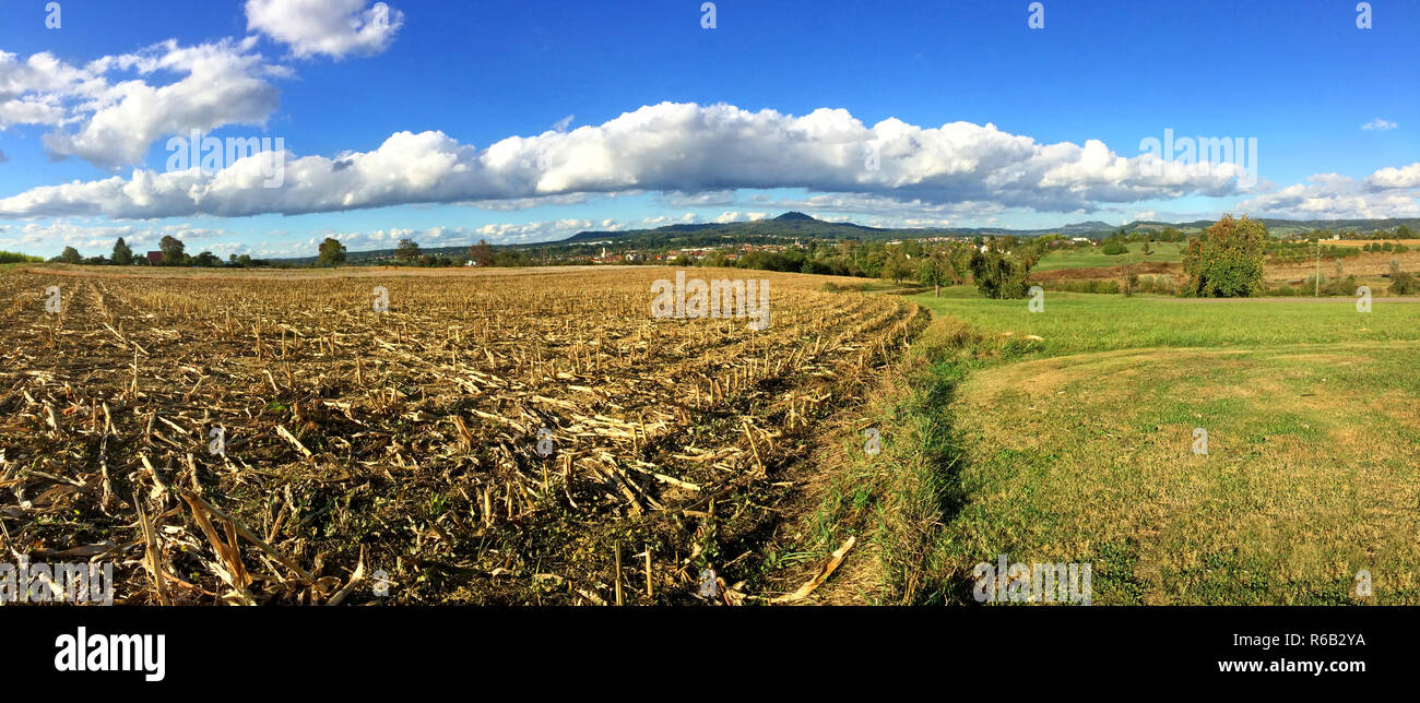Harvested Corn Field With Mountain In The Background Stock Photo