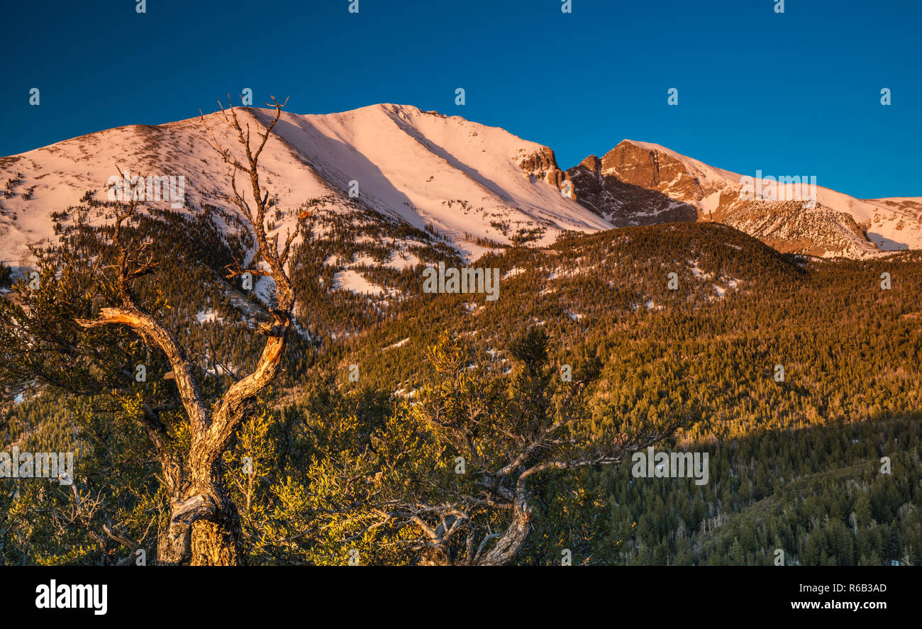 Wheeler Peak massif at sunrise in mid-May, Snake Range, Great Basin National Park, Nevada, USA Stock Photo