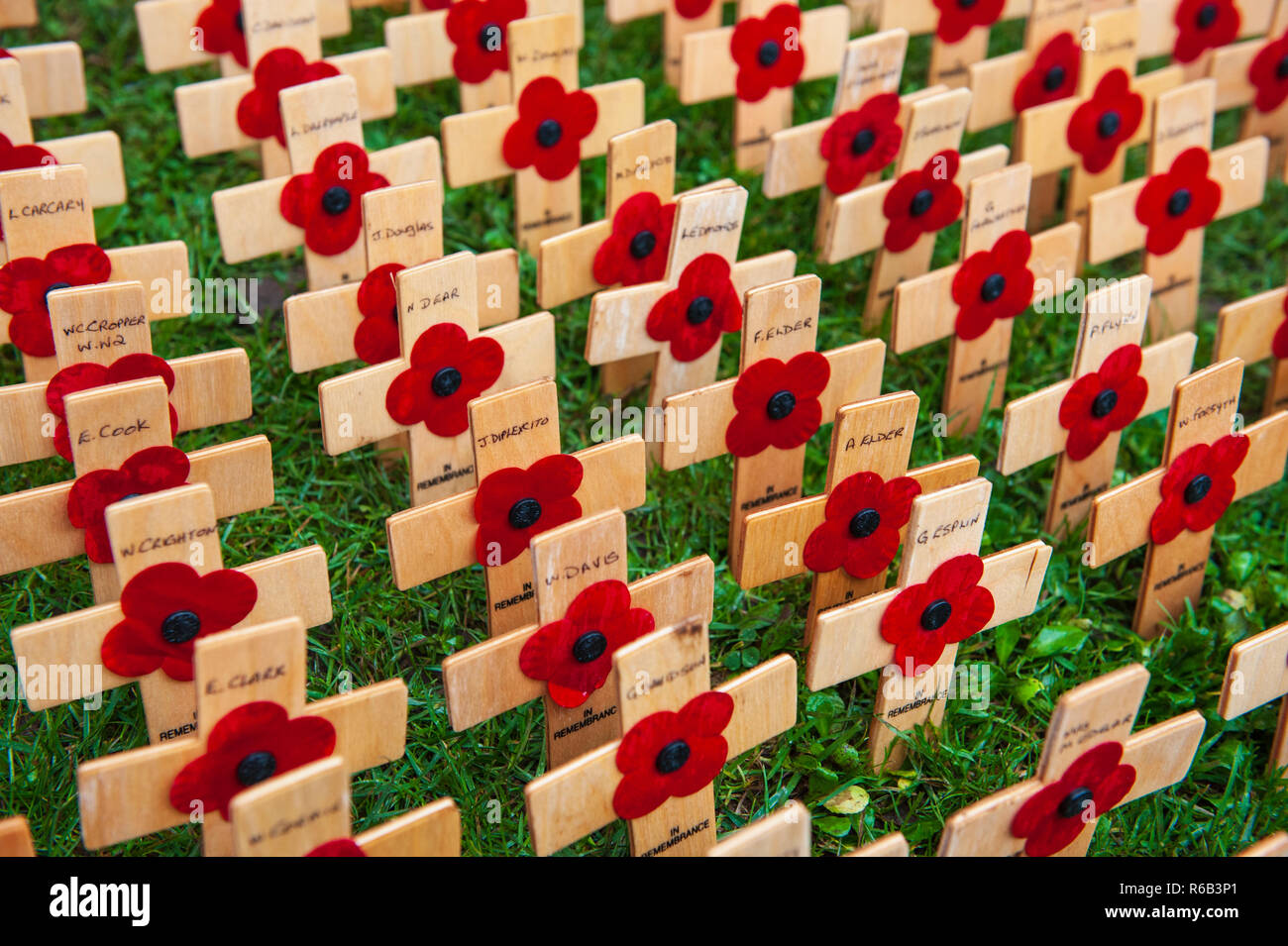 Wooden crosses with poppies attached with names of the fallen. Stock Photo