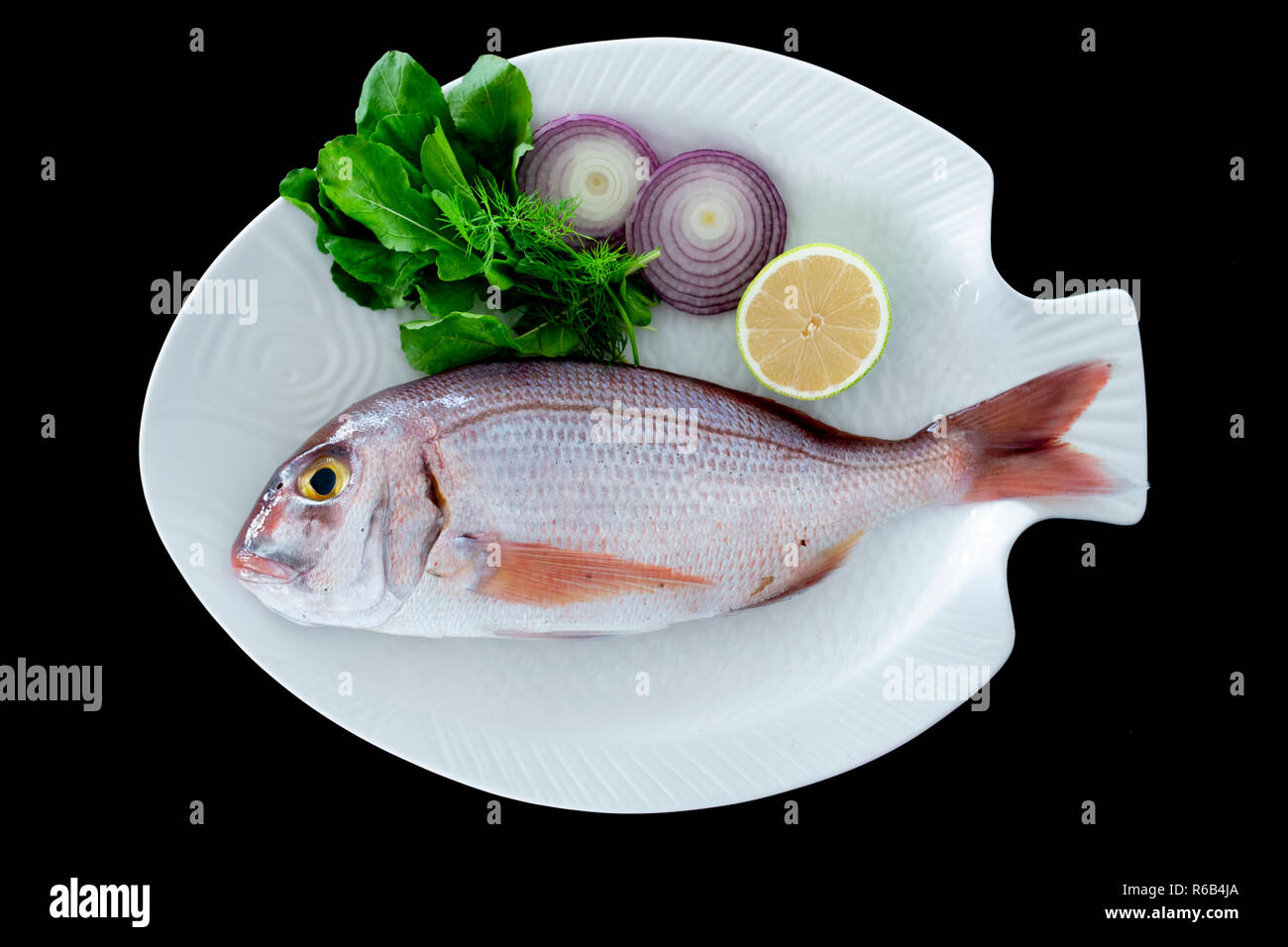 Red porgy as known as sea bream with rockets leaves served on white plate with black background Stock Photo