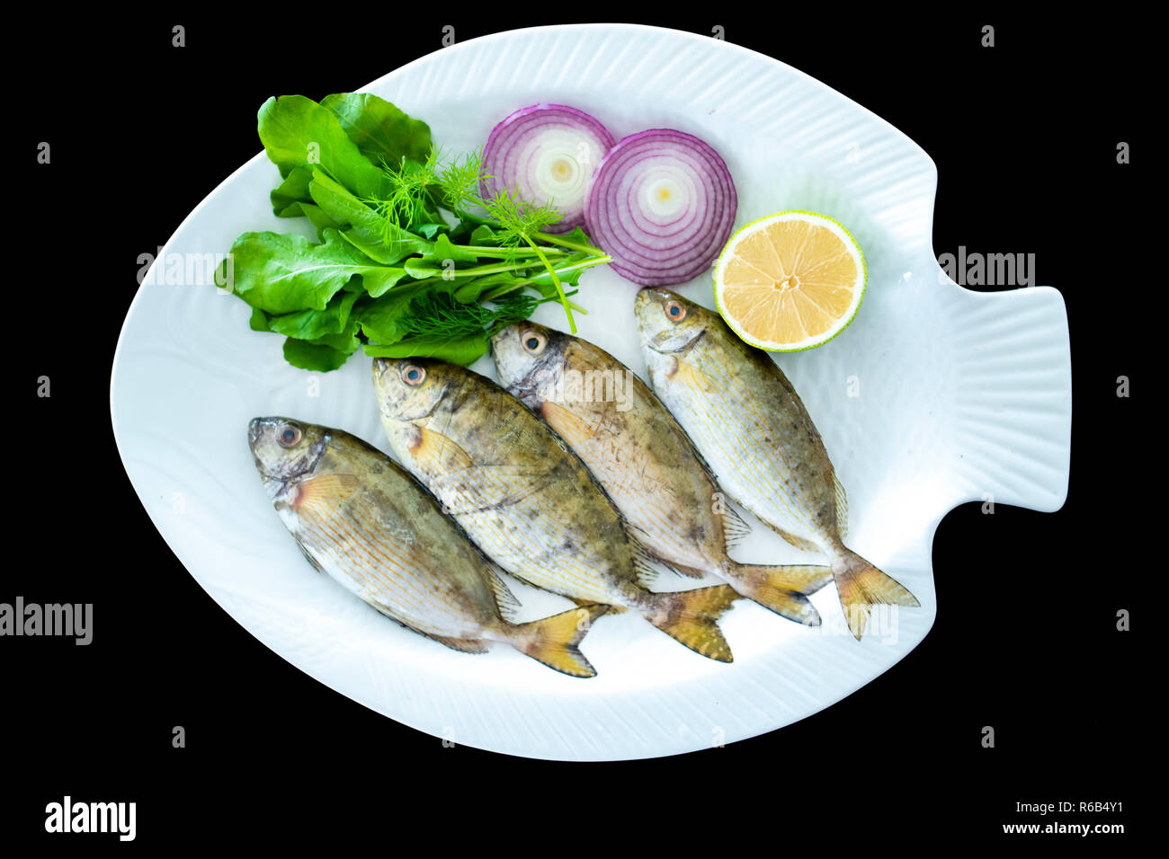 Fresh spotted spinefoot fish with rockets leaves served on white plate with black background Stock Photo