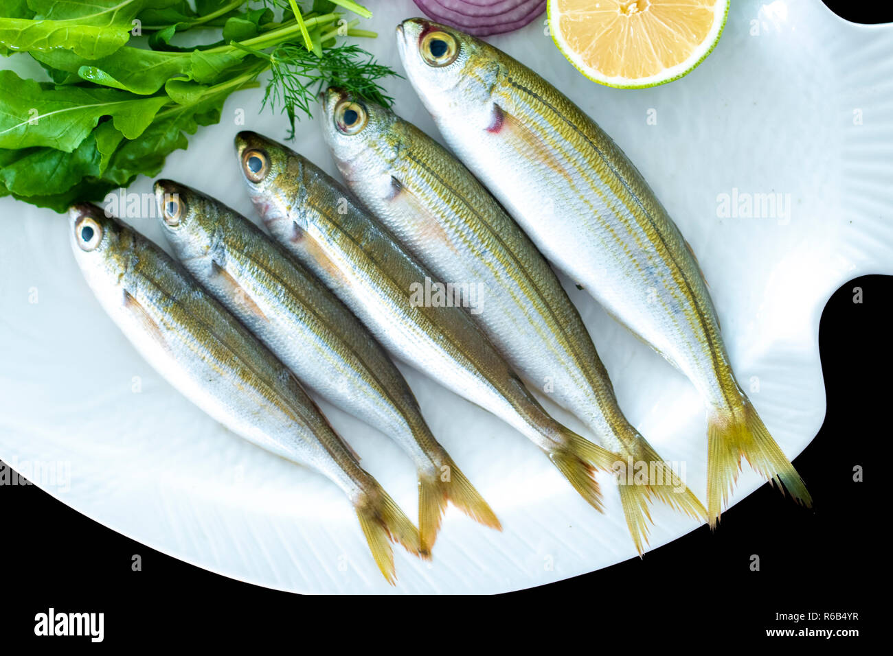 Bogue fish also known as Boops boops with rockets leaves served on white plate with black background Stock Photo