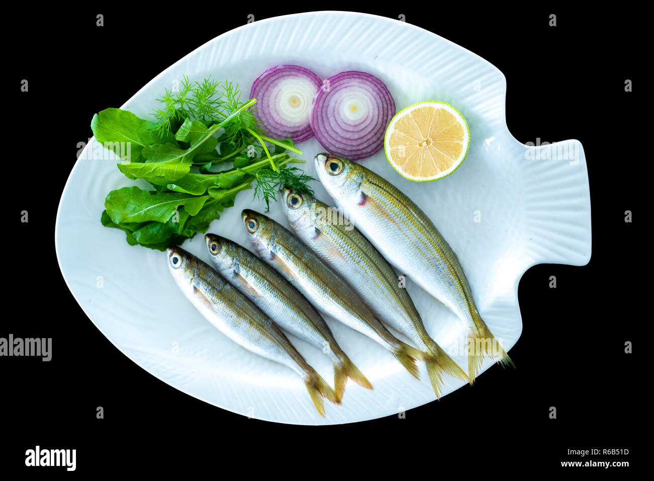 Bogue fish also known as Boops boops with rockets leaves served on white plate with black background Stock Photo