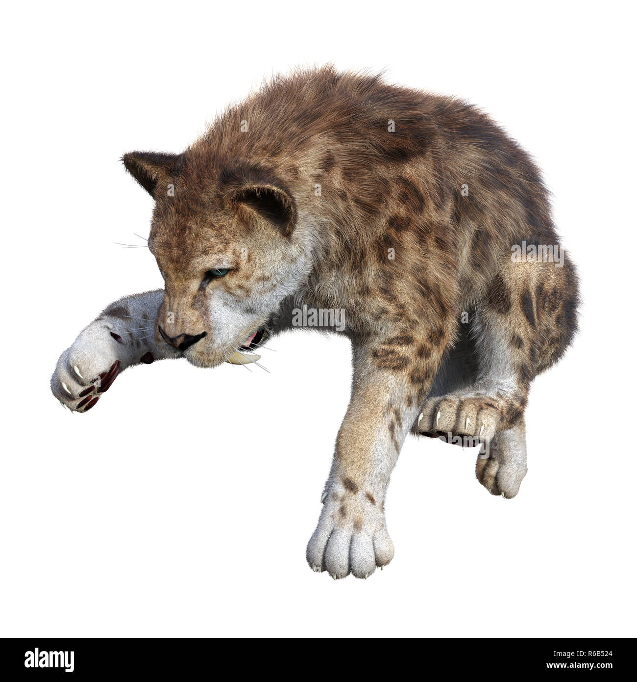 Prehistoric Cat Fight Stock Photo - Download Image Now - Fighting, Animal,  Mountain Lion - iStock, image size:1300x1390