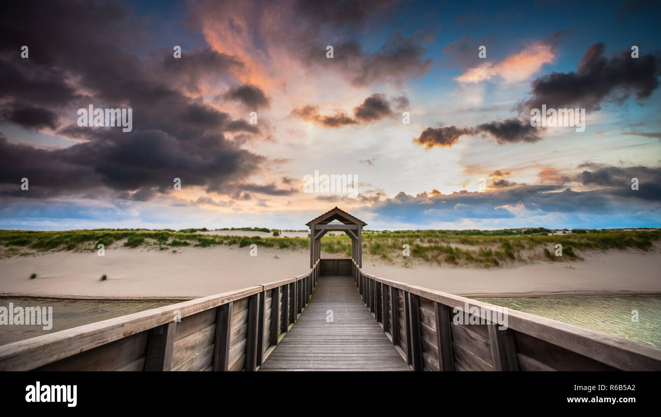 Viewpoint on artificial dunes along the Dutch coast near the coastal ...