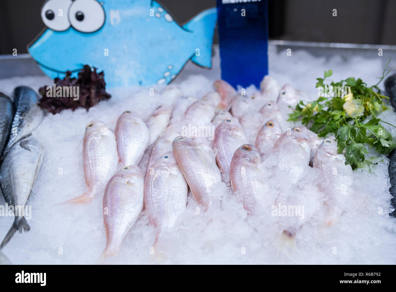 Fresh red porgy fish on ice on seafood display at the supermarket Stock Photo