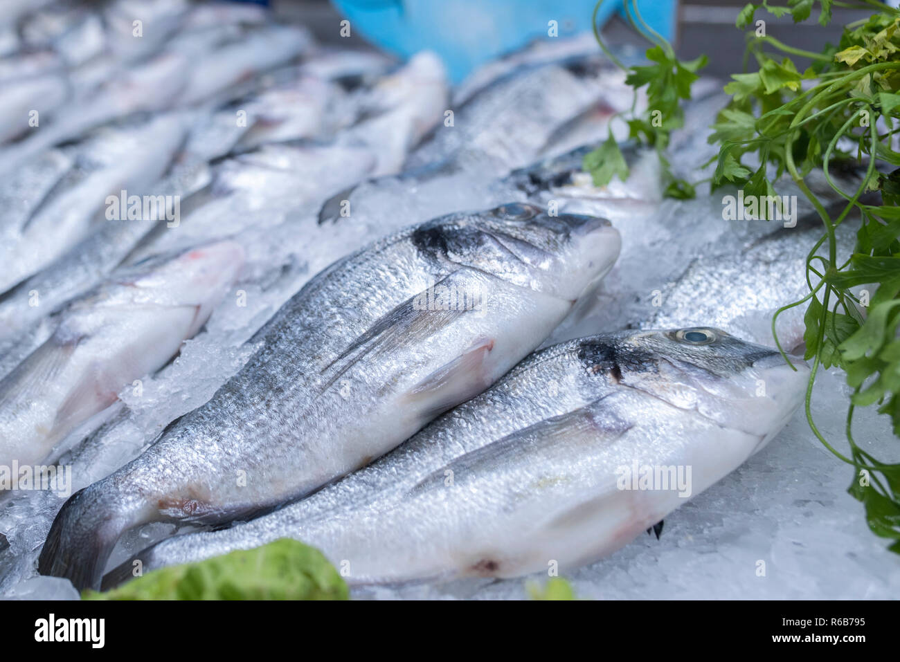 Fresh sea bass and sea breams on ice on supermarket seafood display Stock Photo
