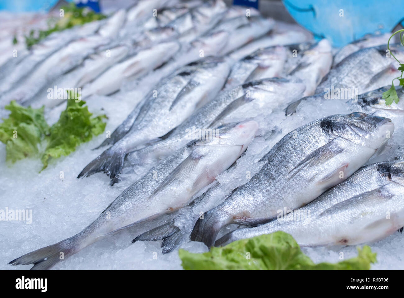 Fresh sea bass and sea breams on ice on supermarket seafood display Stock Photo