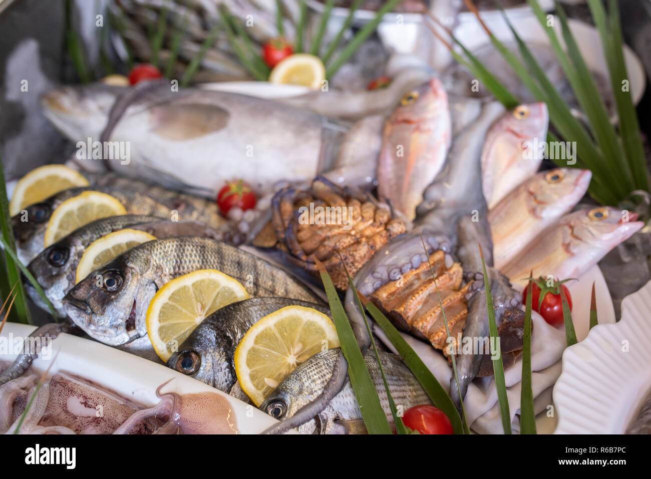 Lobster, octopus, cuttlefish, squid, calamari, red mullet, grouper, sea bass, sea bream, bogue fish, crab and prawns on ice at the supermarket Stock Photo