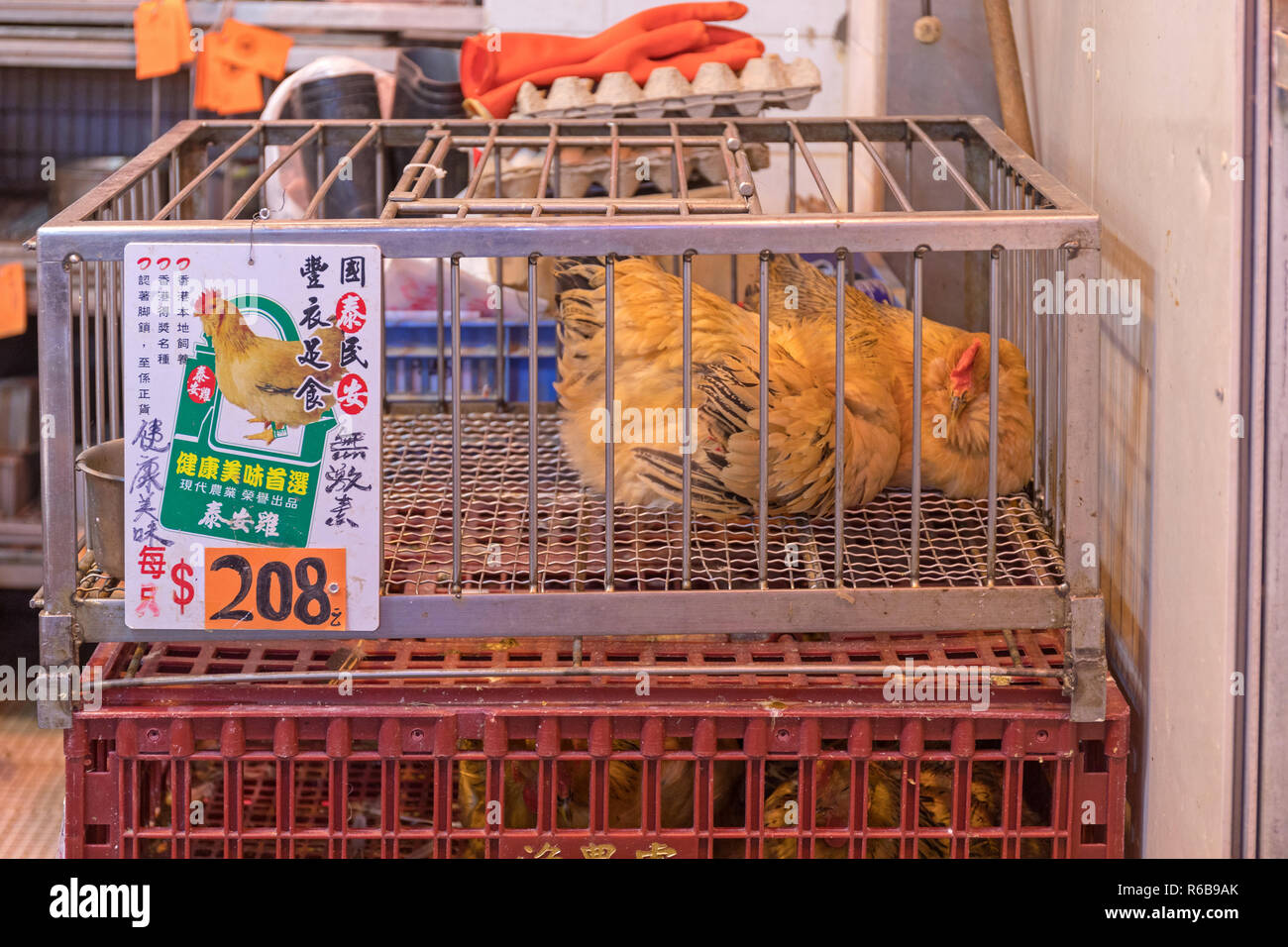 KOWLOON, HONG KONG - APRIL 22, 2017: Live Chickens at Poultry Shop at Local Market in Kowloon, Hong Kong. Stock Photo