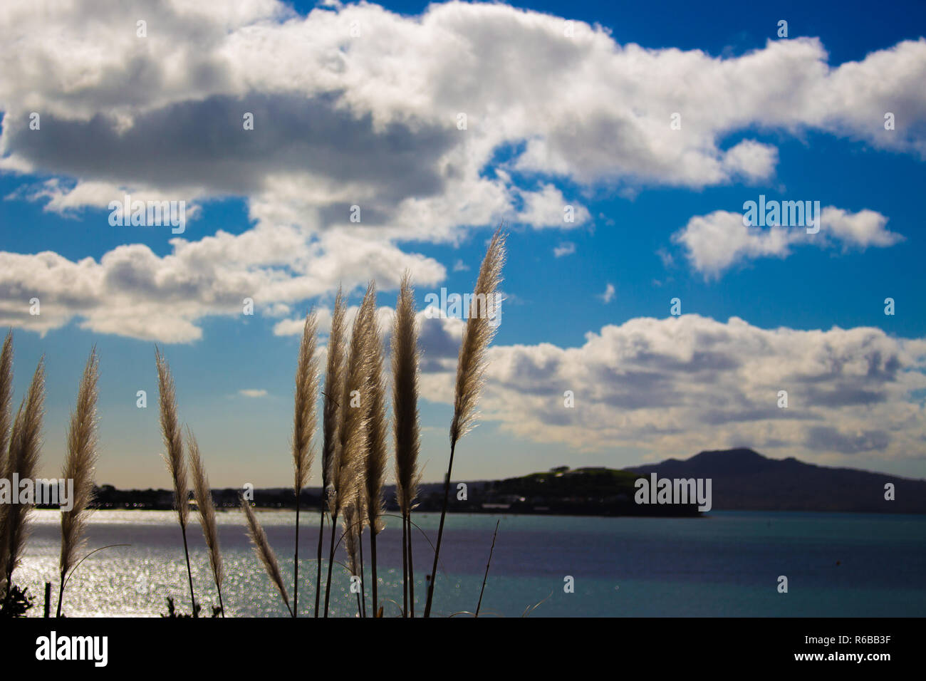 Nice view in Auckland, New Zealand Stock Photo