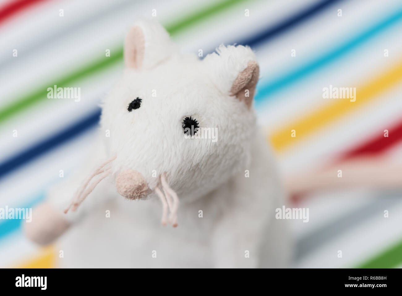 Toy white rat in the colorful strip background. Stock Photo