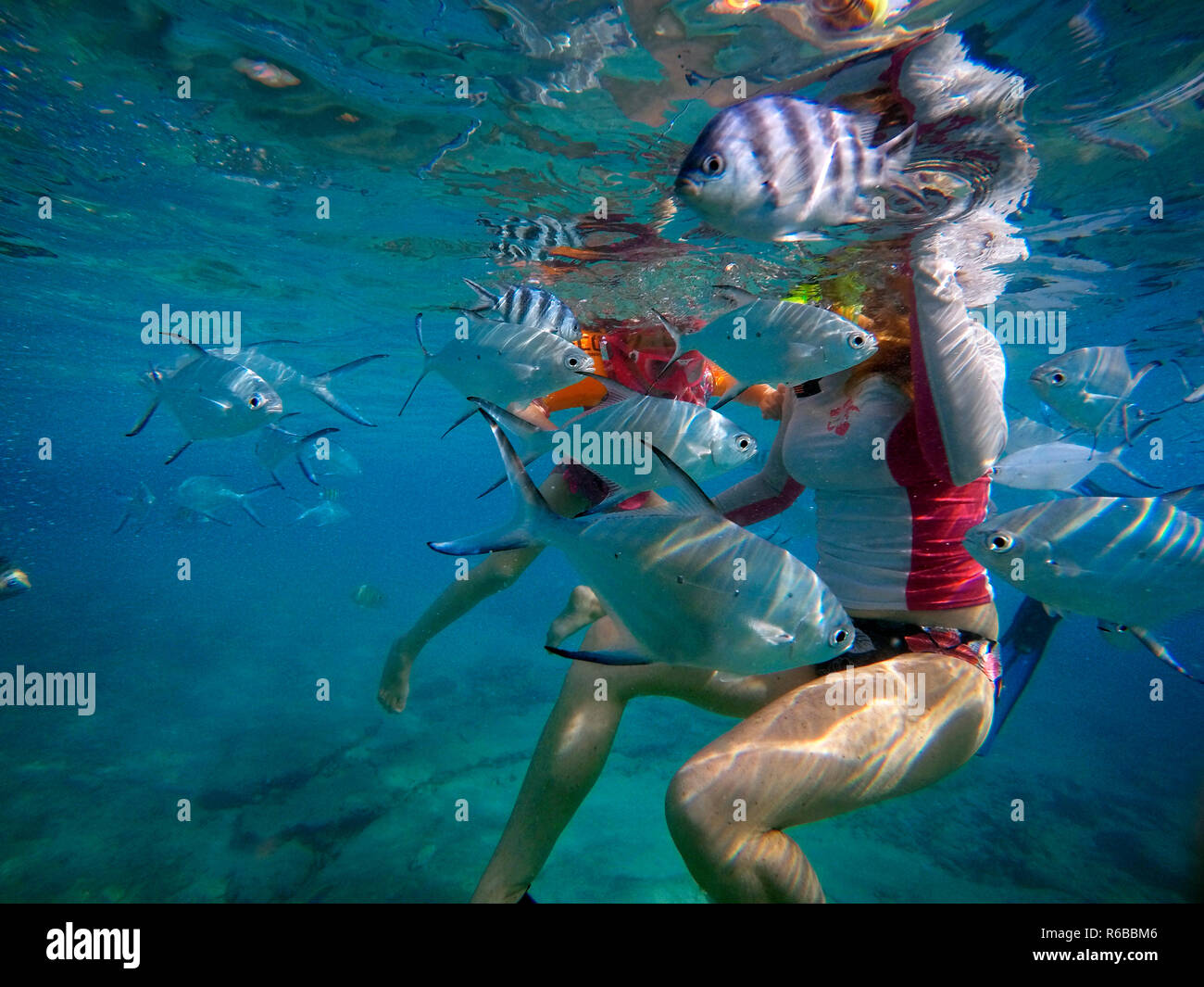 Tourist swimming with a lot of fishes under the waters in Seychelles islands. Stock Photo