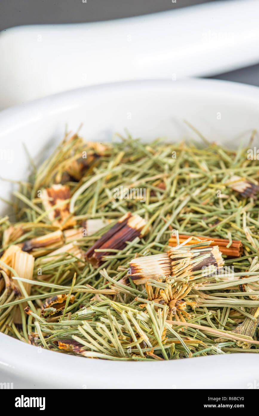 Horse'S Tail, Equisetum Arvense, Medicinal Plant Stock Photo