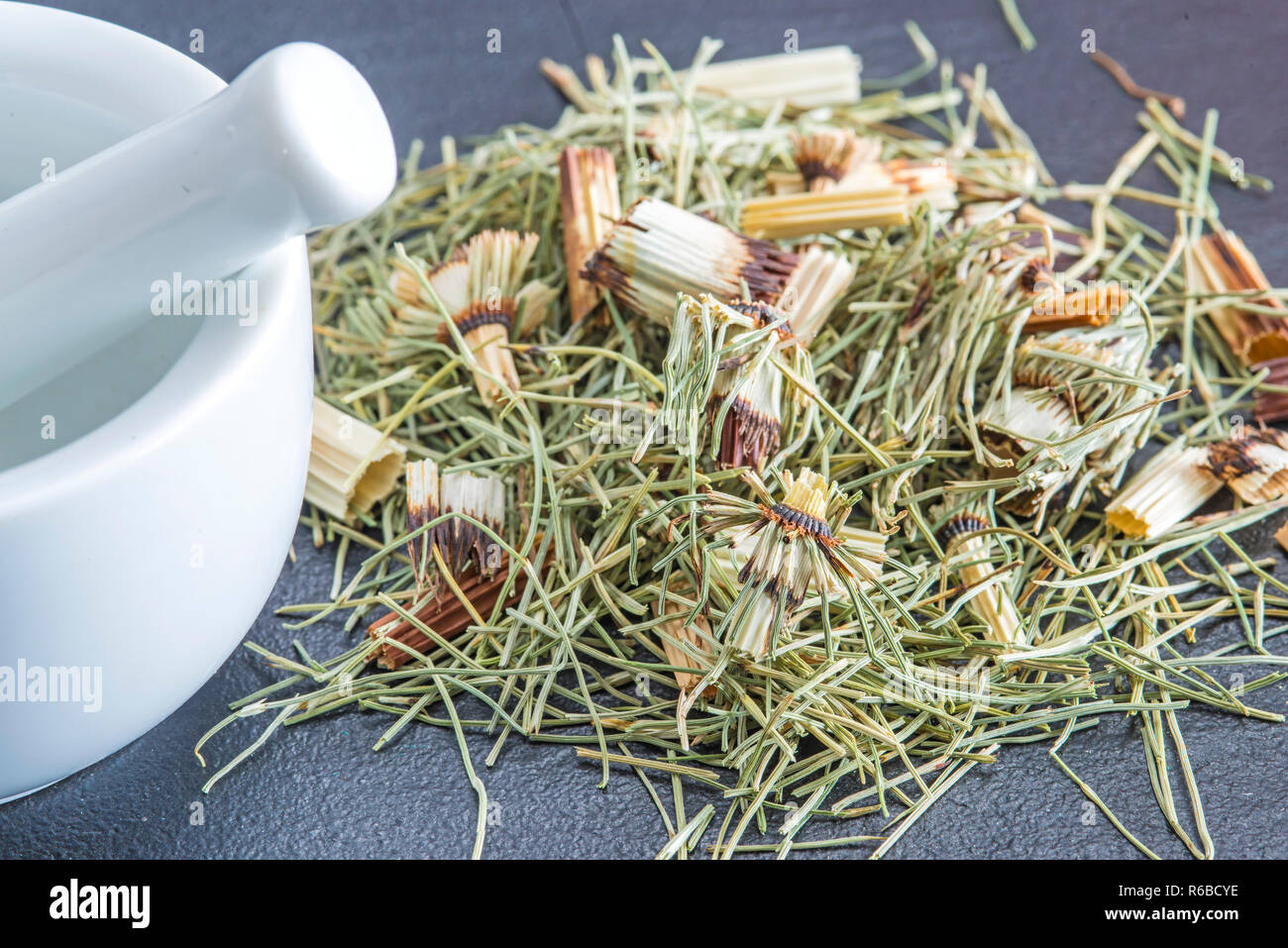Horse'S Tail, Equisetum Arvense, Medicinal Plant Stock Photo