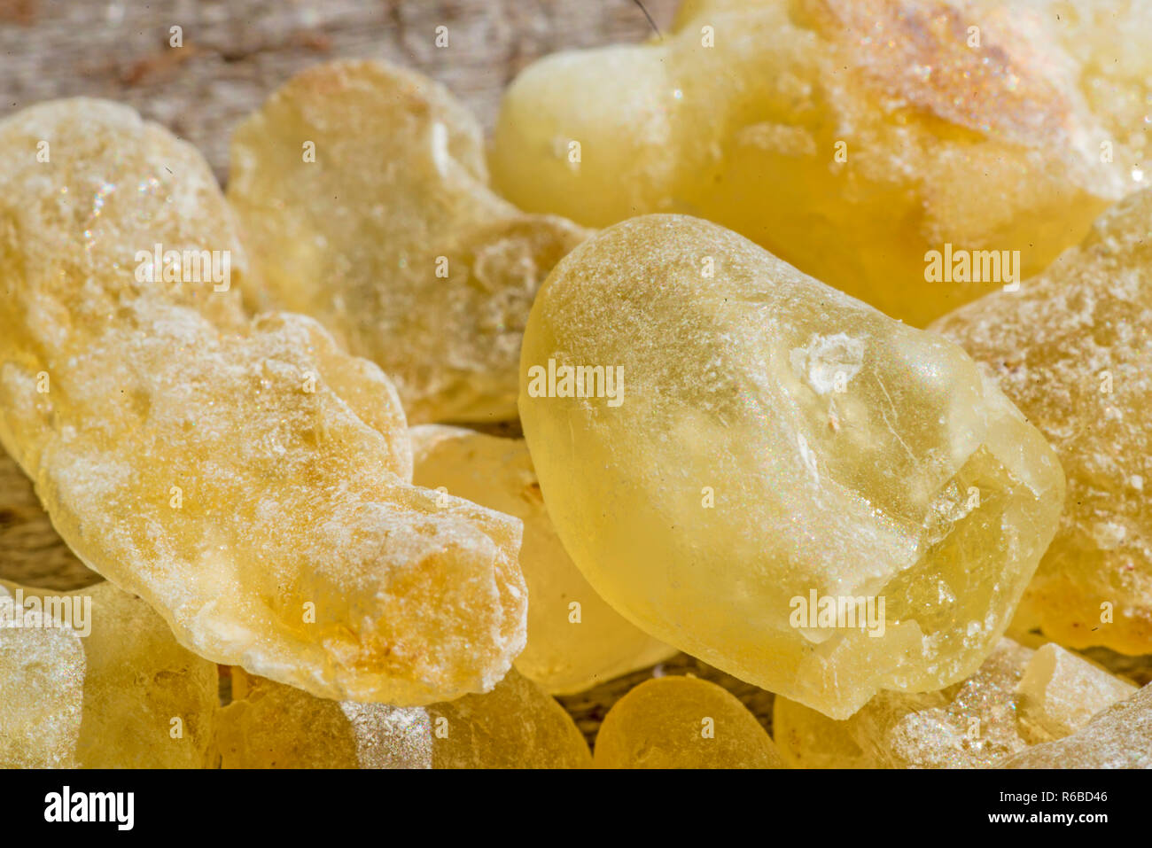 Olibanum, Boswellia Serrata Stock Photo - Alamy