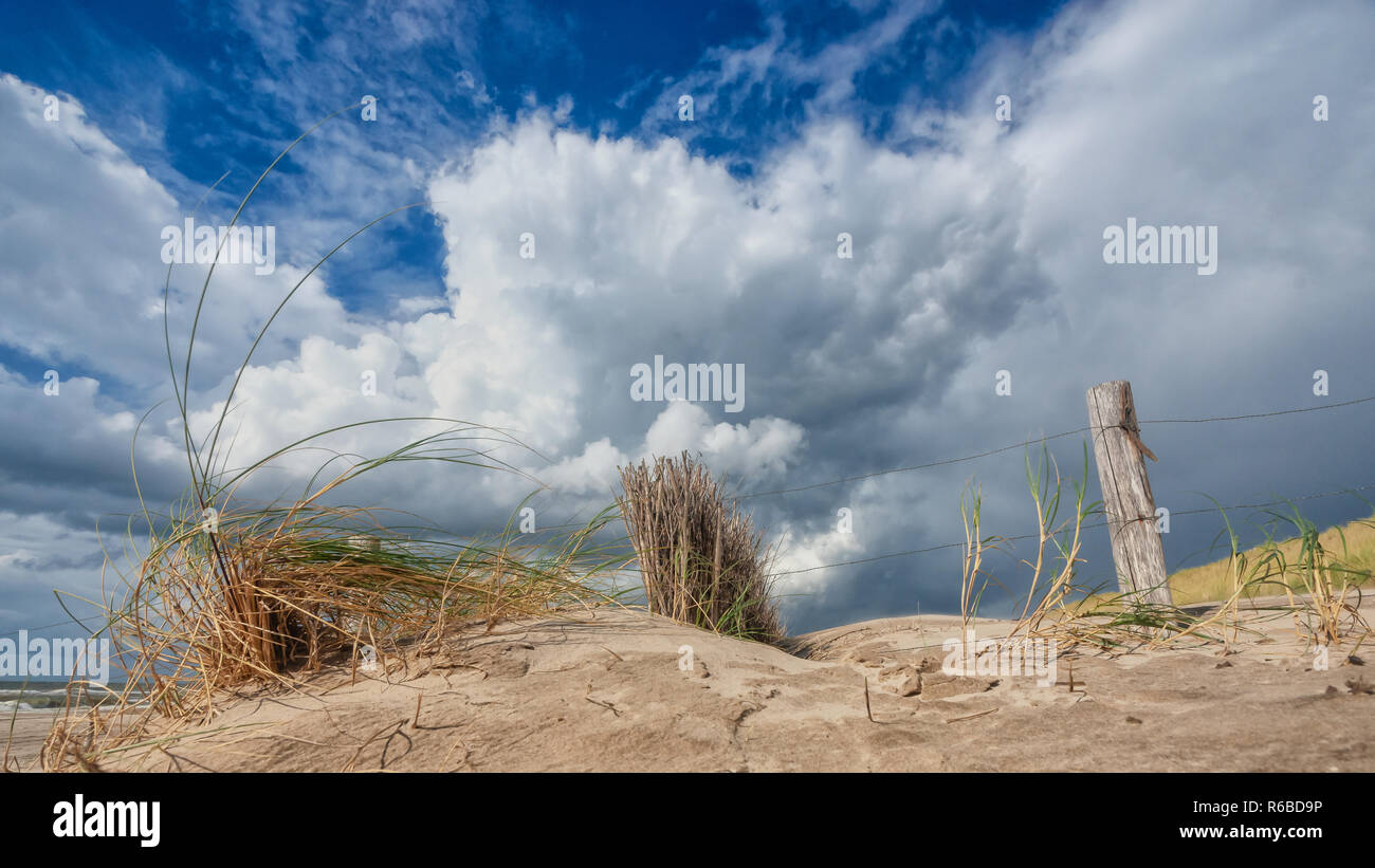 Beautiful photo along the Dutch coast strip with sand dunes on a sunny ...