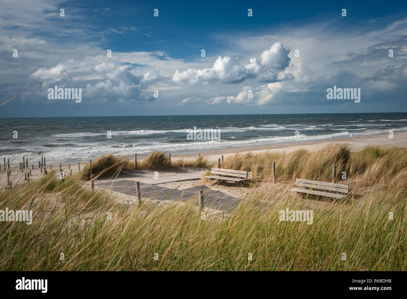 Sand dunes with tall grass and swaying sand in the wind on a sunny day ...
