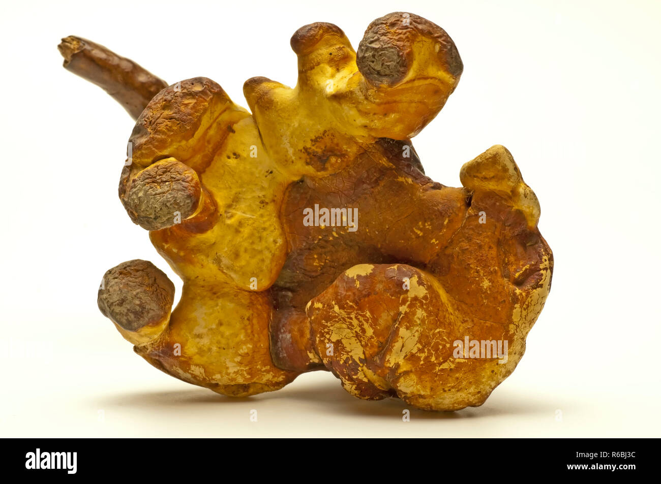 Reishi Mushroom Chinese Medicine Stock Photo Alamy
